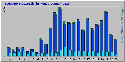 Stunden-Statistik im Monat Januar 2016